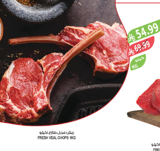 available at Farm  in KSA, Saudi Arabia, Saudi - Tabuk