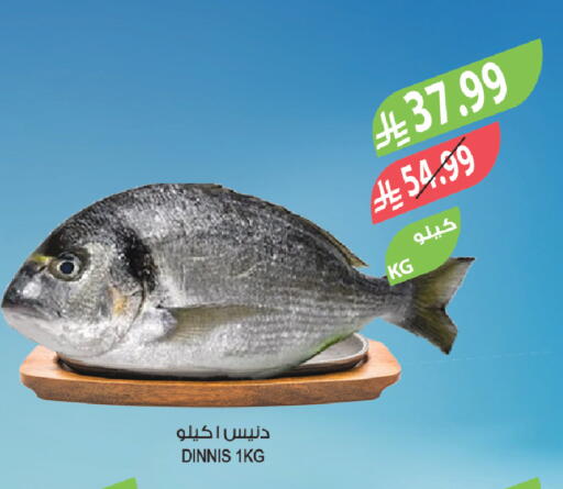 available at Farm  in KSA, Saudi Arabia, Saudi - Arar