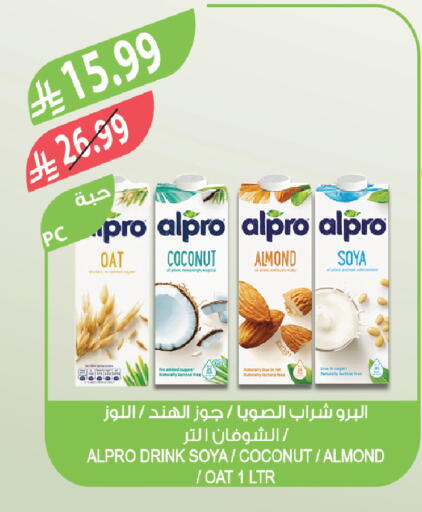 Coconut available at Farm  in KSA, Saudi Arabia, Saudi - Sakaka