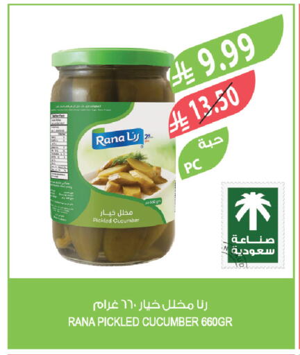 Cucumber available at المزرعة in مملكة العربية السعودية, السعودية, سعودية - الخبر‎