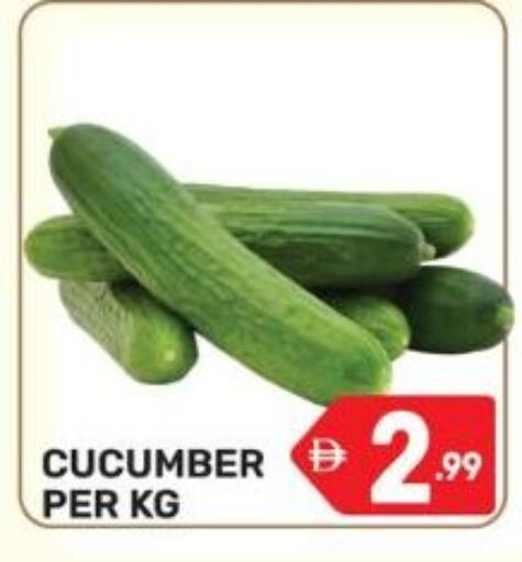 Cucumber available at دريم نايت هايبرماركت in الإمارات العربية المتحدة , الامارات - دبي