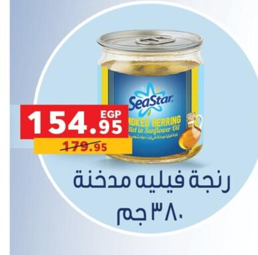 available at بنده in Egypt - القاهرة
