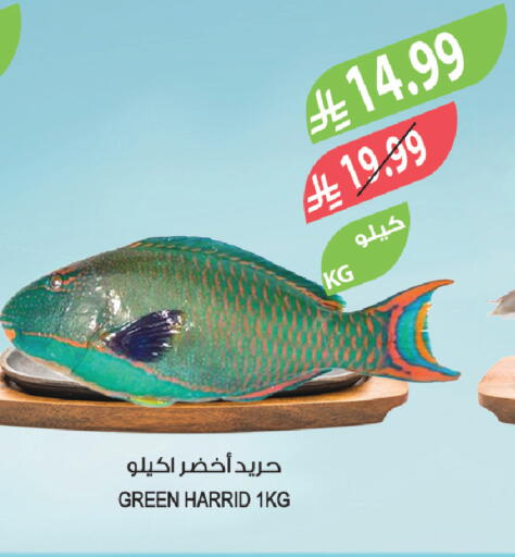 available at المزرعة in مملكة العربية السعودية, السعودية, سعودية - عرعر