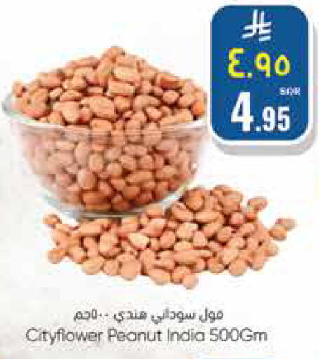 available at City Flower in KSA, Saudi Arabia, Saudi - Hail