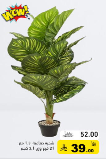 available at Aswaq Ramez in KSA, Saudi Arabia, Saudi - Qatif