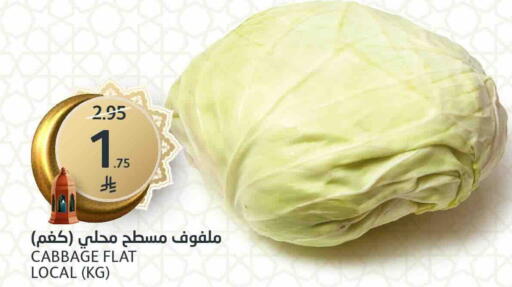 Cabbage available at مركز الجزيرة للتسوق in مملكة العربية السعودية, السعودية, سعودية - الرياض