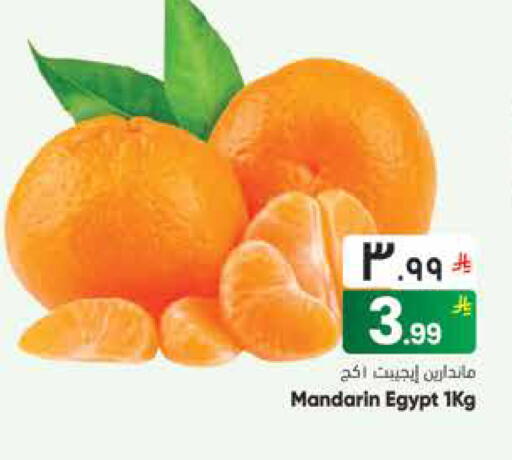 Mandarin from Egypt available at ستي فلاور in مملكة العربية السعودية, السعودية, سعودية - حائل‎