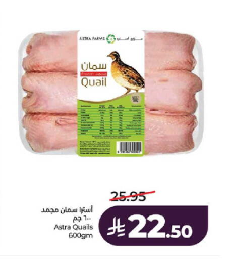 available at LULU Hypermarket in KSA, Saudi Arabia, Saudi - Jeddah