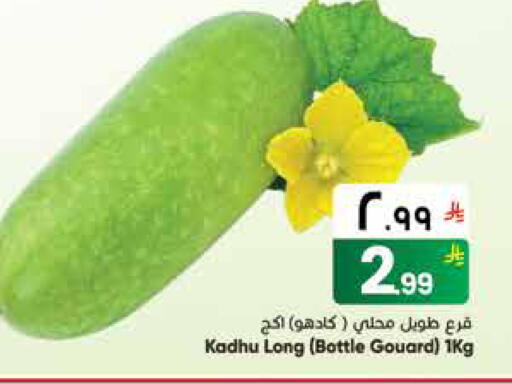 available at ستي فلاور in مملكة العربية السعودية, السعودية, سعودية - الجبيل‎