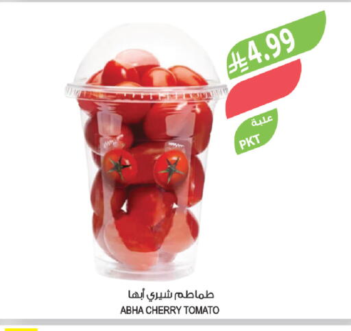 Cherry Cherry tomato available at المزرعة in مملكة العربية السعودية, السعودية, سعودية - أبها