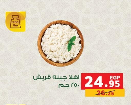 available at بنده in Egypt - القاهرة