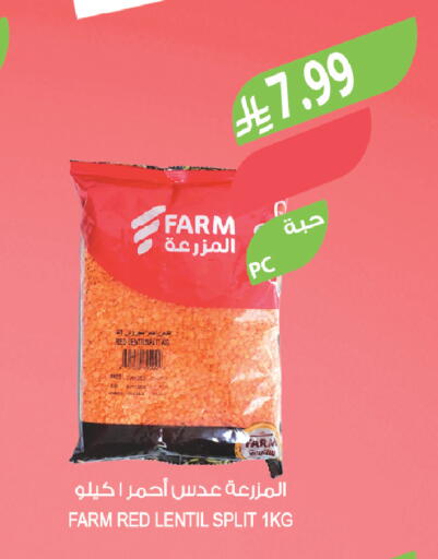 available at المزرعة in مملكة العربية السعودية, السعودية, سعودية - جدة