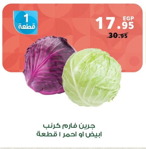 available at Panda  in Egypt - Cairo