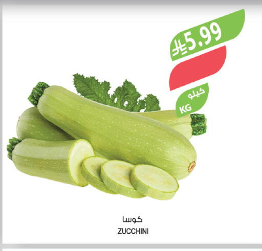 Zucchini available at المزرعة in مملكة العربية السعودية, السعودية, سعودية - سكاكا