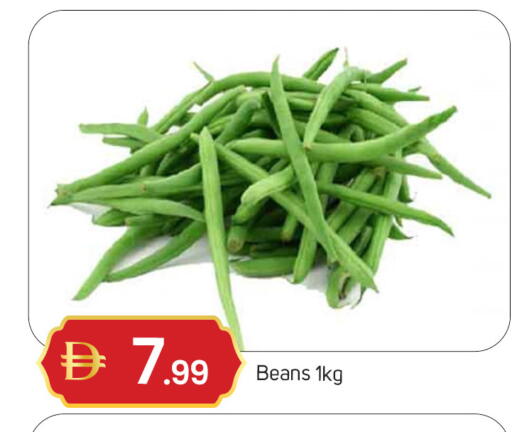 available at سوق طلال in الإمارات العربية المتحدة , الامارات - دبي