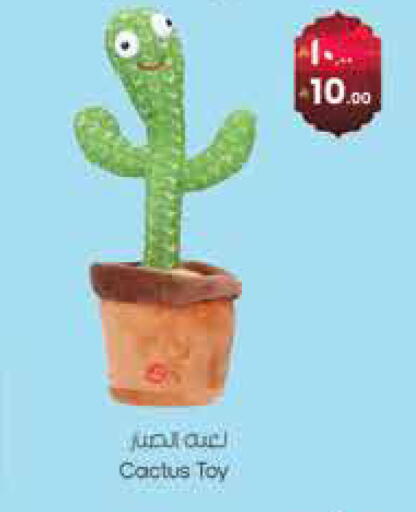 available at ستي فلاور in مملكة العربية السعودية, السعودية, سعودية - سكاكا