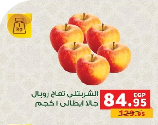 available at بنده in Egypt - القاهرة