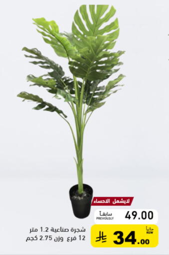 available at أسواق رامز in مملكة العربية السعودية, السعودية, سعودية - القطيف‎