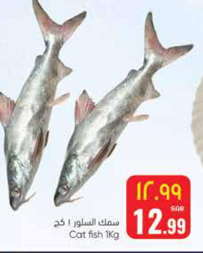 available at ستي فلاور in مملكة العربية السعودية, السعودية, سعودية - الجبيل‎