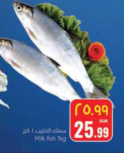 available at ستي فلاور in مملكة العربية السعودية, السعودية, سعودية - نجران