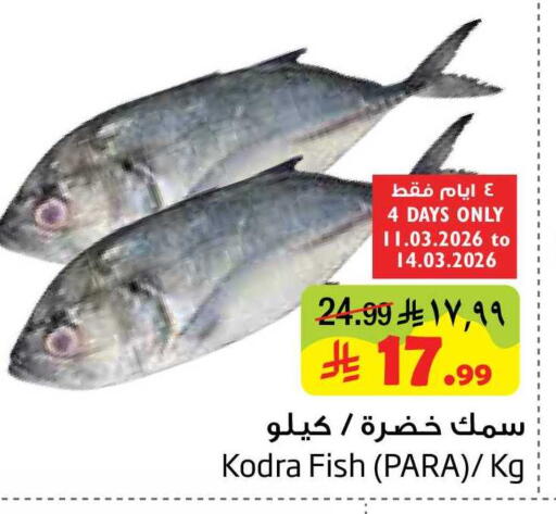 available at ليان هايبر in مملكة العربية السعودية, السعودية, سعودية - المنطقة الشرقية