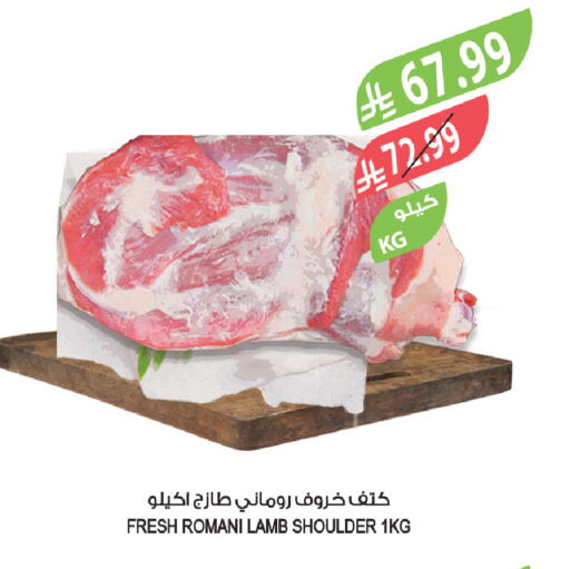 available at المزرعة in مملكة العربية السعودية, السعودية, سعودية - عرعر