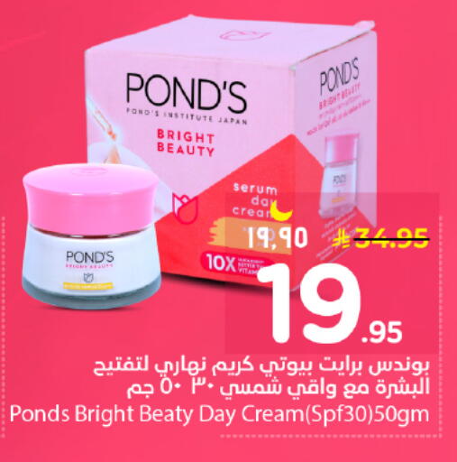 available at نستو in مملكة العربية السعودية, السعودية, سعودية - الرياض