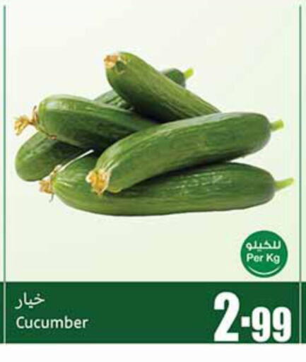 Cucumber available at أسواق عبد الله العثيم in مملكة العربية السعودية, السعودية, سعودية - سكاكا