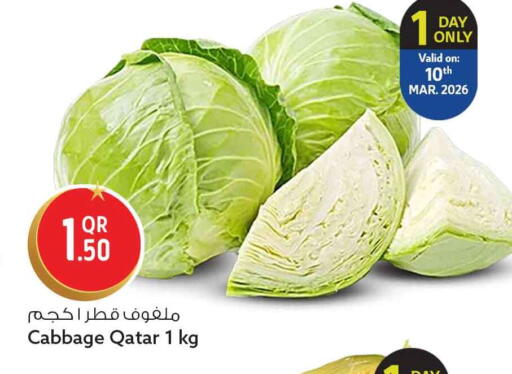 Cabbage from Qatar available at سفاري هايبر ماركت in قطر - الشمال