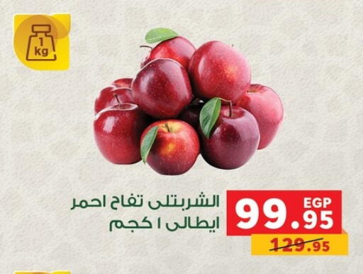 available at بنده in Egypt - القاهرة