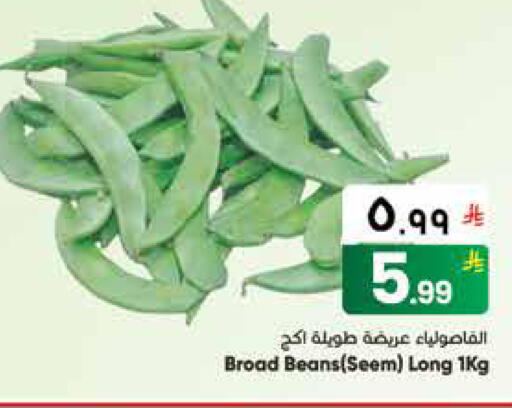 available at ستي فلاور in مملكة العربية السعودية, السعودية, سعودية - الجبيل‎
