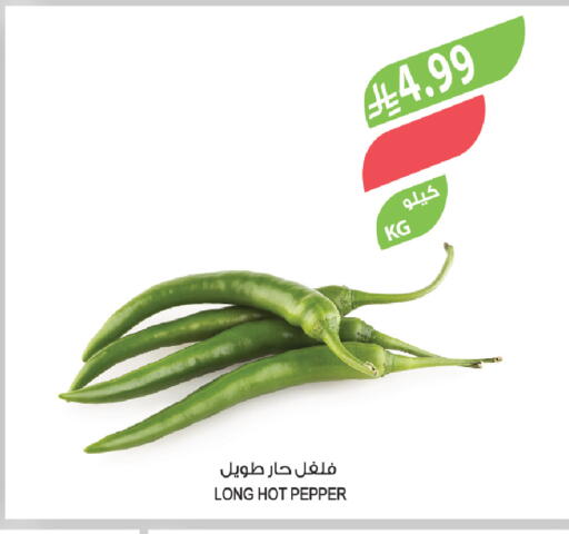 Pepper available at المزرعة in مملكة العربية السعودية, السعودية, سعودية - سكاكا