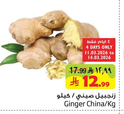 Ginger from China available at ليان هايبر in مملكة العربية السعودية, السعودية, سعودية - المنطقة الشرقية