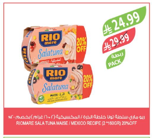 Peas available at Farm  in KSA, Saudi Arabia, Saudi - Jazan