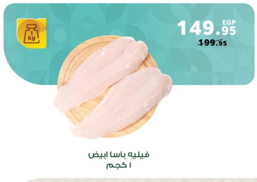 available at بنده in Egypt - القاهرة