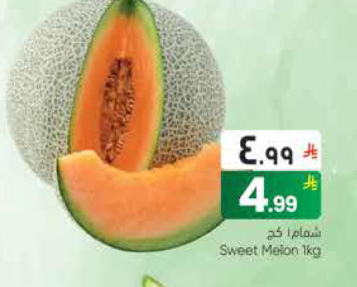 Melon available at City Flower in KSA, Saudi Arabia, Saudi - Najran