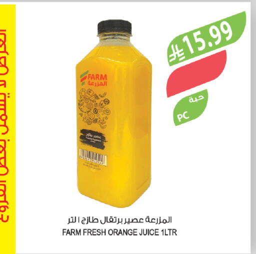 Orange available at Farm  in KSA, Saudi Arabia, Saudi - Yanbu