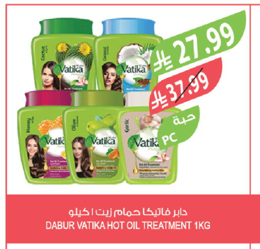 Garlic available at Farm  in KSA, Saudi Arabia, Saudi - Arar