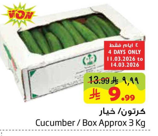 Cucumber available at Layan Hyper in KSA, Saudi Arabia, Saudi - Dammam