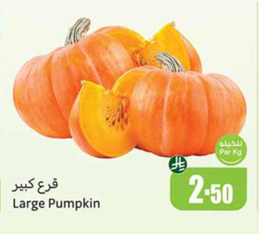 Pumpkin available at Othaim Markets in KSA, Saudi Arabia, Saudi - Dammam