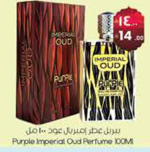 available at City Flower in KSA, Saudi Arabia, Saudi - Sakaka