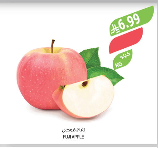 Apple available at Farm  in KSA, Saudi Arabia, Saudi - Sakaka