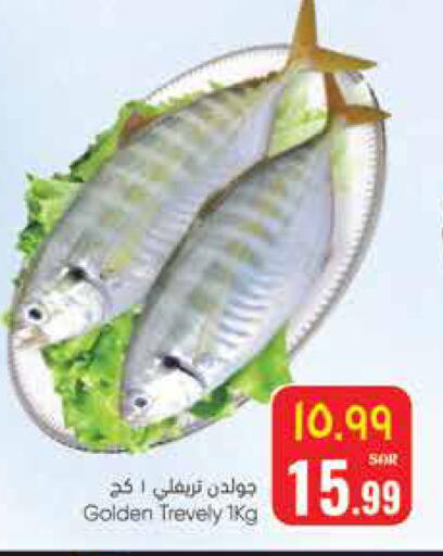 available at ستي فلاور in مملكة العربية السعودية, السعودية, سعودية - الجبيل‎