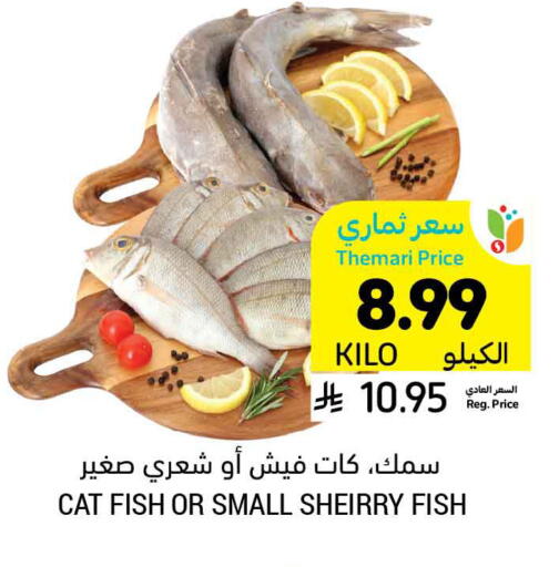 available at Tamimi Market in KSA, Saudi Arabia, Saudi - Tabuk