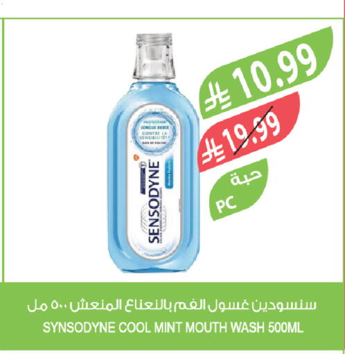 Mint available at المزرعة in مملكة العربية السعودية, السعودية, سعودية - عرعر