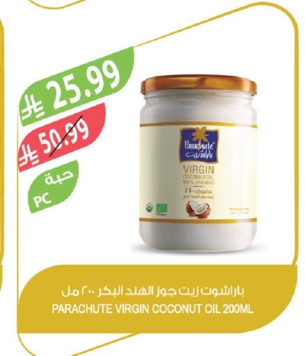 Coconut available at Farm  in KSA, Saudi Arabia, Saudi - Tabuk