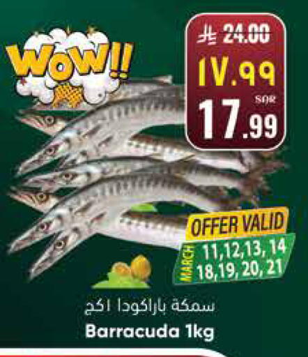 available at ستي فلاور in مملكة العربية السعودية, السعودية, سعودية - حائل‎