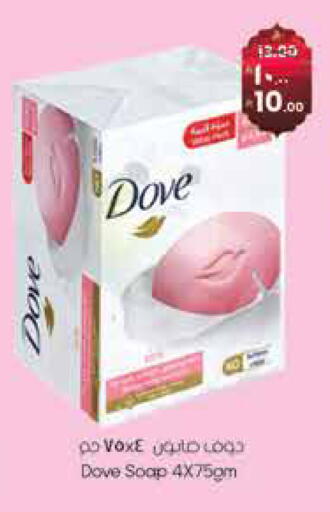 available at City Flower in KSA, Saudi Arabia, Saudi - Sakaka