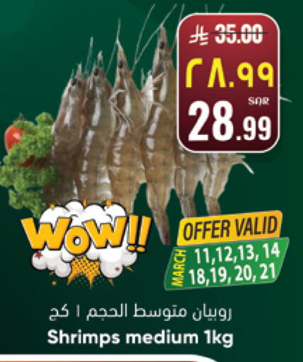 available at City Flower in KSA, Saudi Arabia, Saudi - Jubail