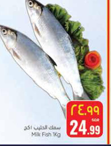 available at ستي فلاور in مملكة العربية السعودية, السعودية, سعودية - حائل‎